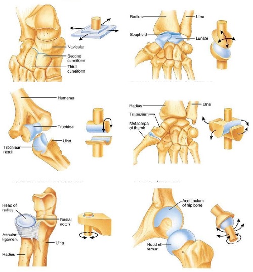 joint structure