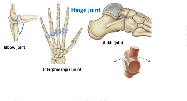 joint structure