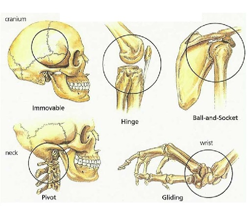 joint structure