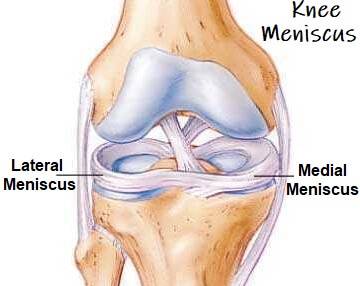 meniscus