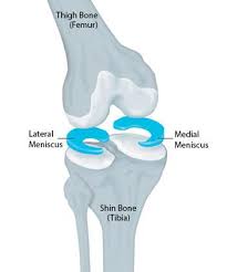 meniscus