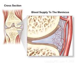 meniscus